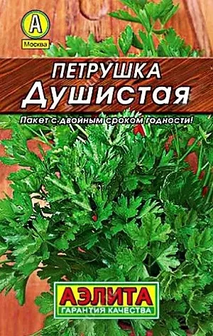 Семена зелени, пряностей, лекарственных растений